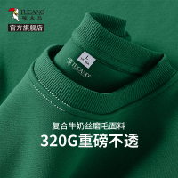 啄木鸟绿色圆领卫衣男春秋季重磅潮牌无帽外套男士宽松长袖上衣Y