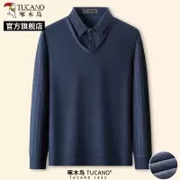 啄木鸟2025春季新款男士长袖POLO衫中老年爸爸装休闲假两件上衣C