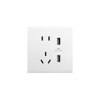 罗格朗/LEGRAND 开关插座面板 白色86型10A五孔带USB插座 个