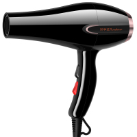 荣事达电吹风RC-DZ520大功率发廊款