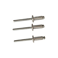 鏖耀 拉铆钉 4x25 个