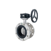 中谆云品 不锈钢蒸气法兰蝶阀 DN50 个