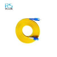 锐远晟 单模光纤尾纤SC-LC-10m 10根/包