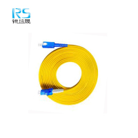 锐远晟 单模光纤尾纤SC-LC-20m 10根/包