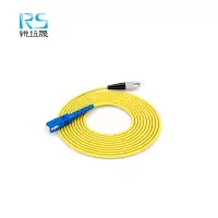 锐远晟 单模光纤尾纤FC-SC-1m 10根/包