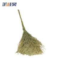 金桂昊 大扫把 一体带叶5斤重 把
