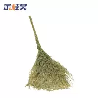 金桂昊 大扫把 一体带叶5斤重 把