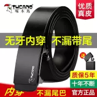 啄木鸟男士皮带真皮无牙自动扣内穿腰带时尚商务无卡槽牛皮裤腰带