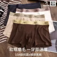 啄木鸟高端磨毛男士内裤男款秋冬四角短裤头舒适抗菌保暖平角短裤