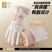 手套女冬季2024新款保暖触屏防寒加绒加厚防风防水电动车骑行手套