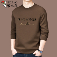 啄木鸟品牌秋冬新款长袖圆领纯棉卫衣男装高档t恤休闲加绒打底衫