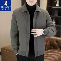 啄木鸟冬季棉衣男士翻领休闲高级感时尚格子棉袄冬装保暖棉服外套