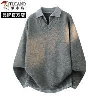 啄木鸟复古翻领毛衣男秋冬季宽松慵懒风针织衫高级感宽松休闲上衣