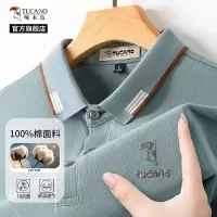 啄木鸟7A抗菌纯棉短袖T恤男夏季新款中年爸爸商务翻领POLO衫上衣H