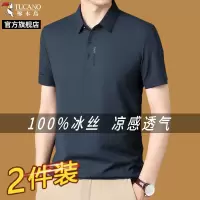 啄木鸟官方旗舰店男士短袖爸爸夏t恤2025新款冰丝商务中年polo衫