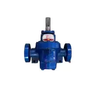 盛京路龙博 齿轮油头 KCB-300 台