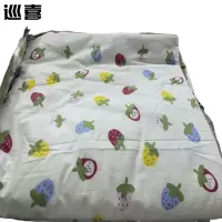 巡喜 双人空调被 200X230cm (条)