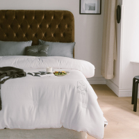 采馨 白色大豆纤维冬被 全棉被子 150cm*200cm 条 (冬被-白色)