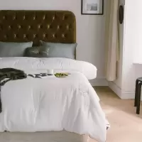 采馨 白色大豆纤维冬被 全棉被子 150cm*200cm 条 (冬被-白色)