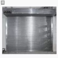 瑞琅玟珑 电动防火卷帘门 钢制卷帘门防火门 RL-GZFH1 平方米