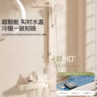 惠达(HUIDA)-TF575/TF575A 无顶喷花洒奶油风恒温淋浴花洒套装家用简易浴室枪灰色沐浴器