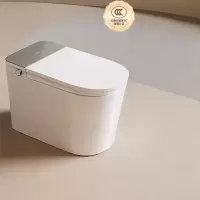 惠达(HUIDA)-ET101前置妇洗全智能马桶清洗加热烘干一体带水箱免触翻盖魔力泡座便器