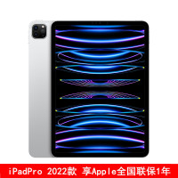 Apple iPad Pro 11英寸 2022年款 256GB 国行正品 银色 WLAN版 M2芯片 Liquid视网膜屏 学习娱乐办公平板电脑