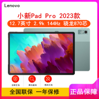 联想小新Pad Pro 西子绿 8GB+256GB WIFI 12.7英寸 骁龙870芯 2.9k屏幕 144Hz刷新率 学习模式 影音娱乐办公学习游戏平板电脑