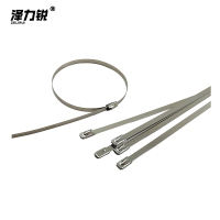 泽力锐 不锈钢扎带 4.6x450mm 根