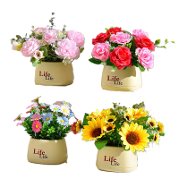 东方能展定制专拍1