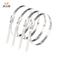 晨以橙 不锈钢扎带 7.9mm*500mm