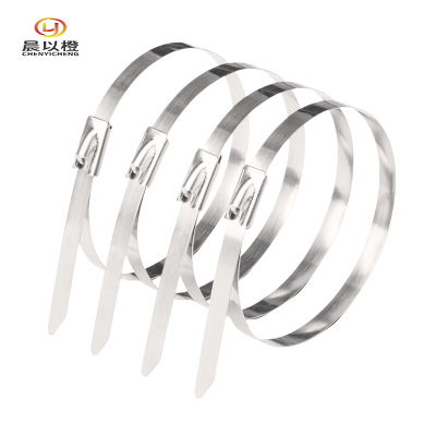 晨以橙 不锈钢扎带 7.9mm*500mm