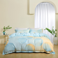 水星家纺 全棉四件套—梦之泡影220cm×240cm.