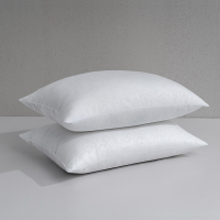 水星家纺 宁逸抗菌对枕 40cm×60cm 洁净舒适 抗菌防螨 蓬松自然126013.