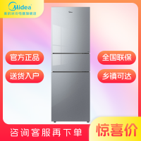 美的冰箱BCD-239WTGPM榭湖银