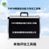 有树 YSXL-FMFM01 FMFM精细运动能力测试量表工具箱专业早教教具