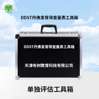 有树 YSXL-DDST01 DDST丹佛发育筛查量表减压工具箱专业早教教具