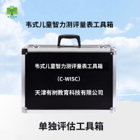 有树 YSXL-WISC 韦氏儿童智力量表C-WISC 第三版减压工具箱早教教具