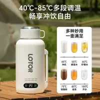 LOTOR电热水杯DRSB-3便携式烧水壶旅行烧水杯加热水杯电炖杯迷你烧水壶冲奶