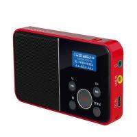 PANDA/熊猫DS-116便携式老年收音机录音插卡音箱MP3播放器小型迷你听歌唱戏音乐戏曲充电音响歌词同步 红色