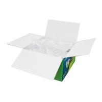 绿之源V5净化除味车家两用活性炭3000g