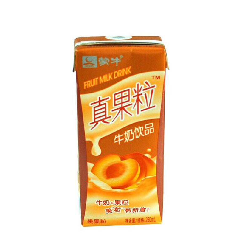 蒙牛真果粒牛奶250ml