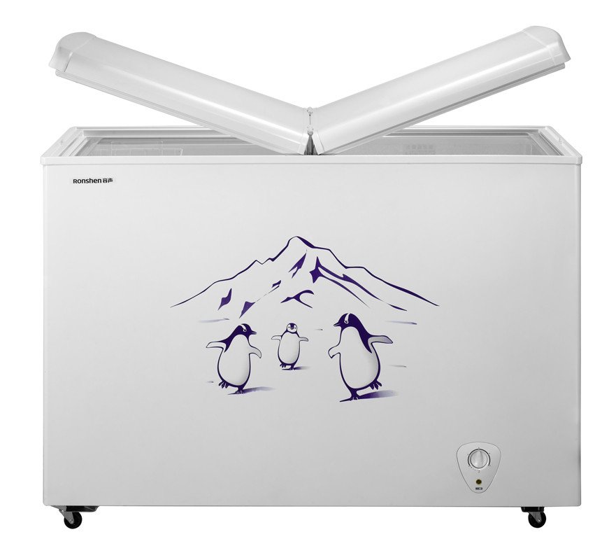 容声冷柜BCD-203K