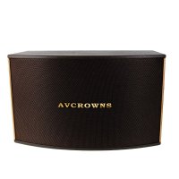AVCROWNS/皇冠 OK-560卡包 卡拉OK专业音箱KTV音响 家庭会议婚庆专用卡包箱