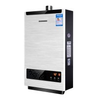前锋(CHIFFO)JSQ20-DSH486 智能 恒温 强排式天燃气热水器 10L
