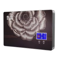 seicurty/斯瑞斯特 SC-D95-A磁能即热式变频省快速恒温电热水器