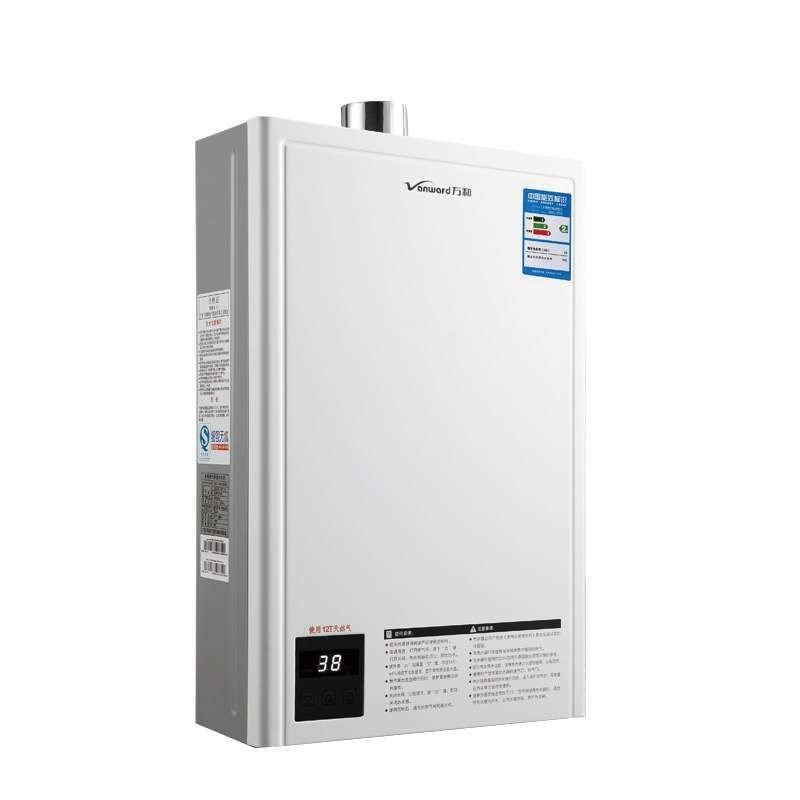 数码恒温强排式燃气热水器（拉丝银）JSQ24-12ET16