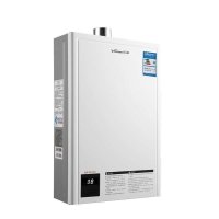 数码恒温强排式燃气热水器（拉丝银）JSQ24-12ET16