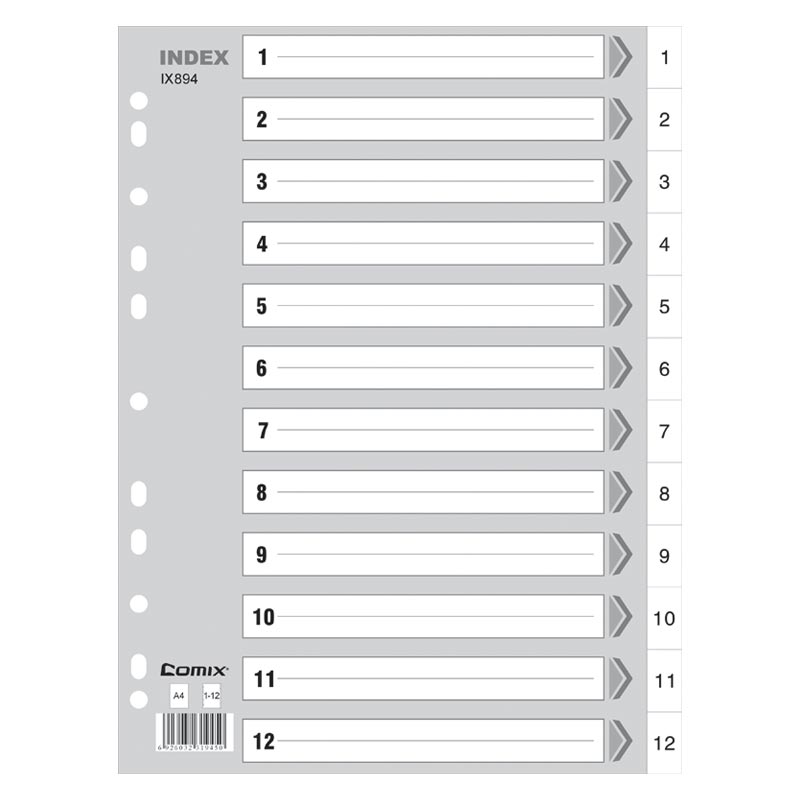 齐心 IX894 易分类 年度11孔索引纸 A4 12页 4个装