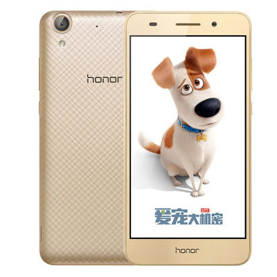 荣耀畅玩5A全网通(CAM-AL00)(2GB RAM+16GB ROM)金色